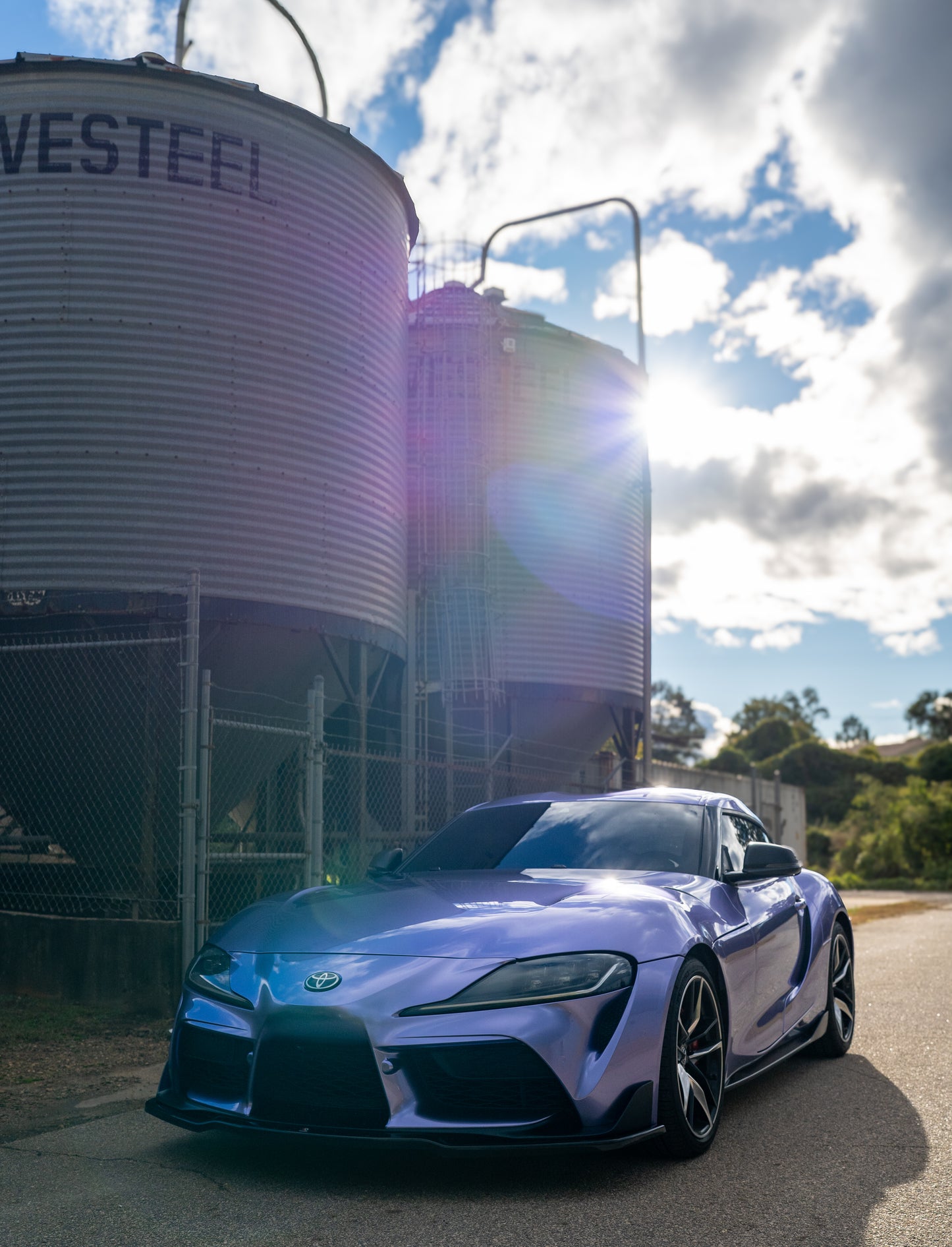 Metal Olivia Purple Vinyl Roll