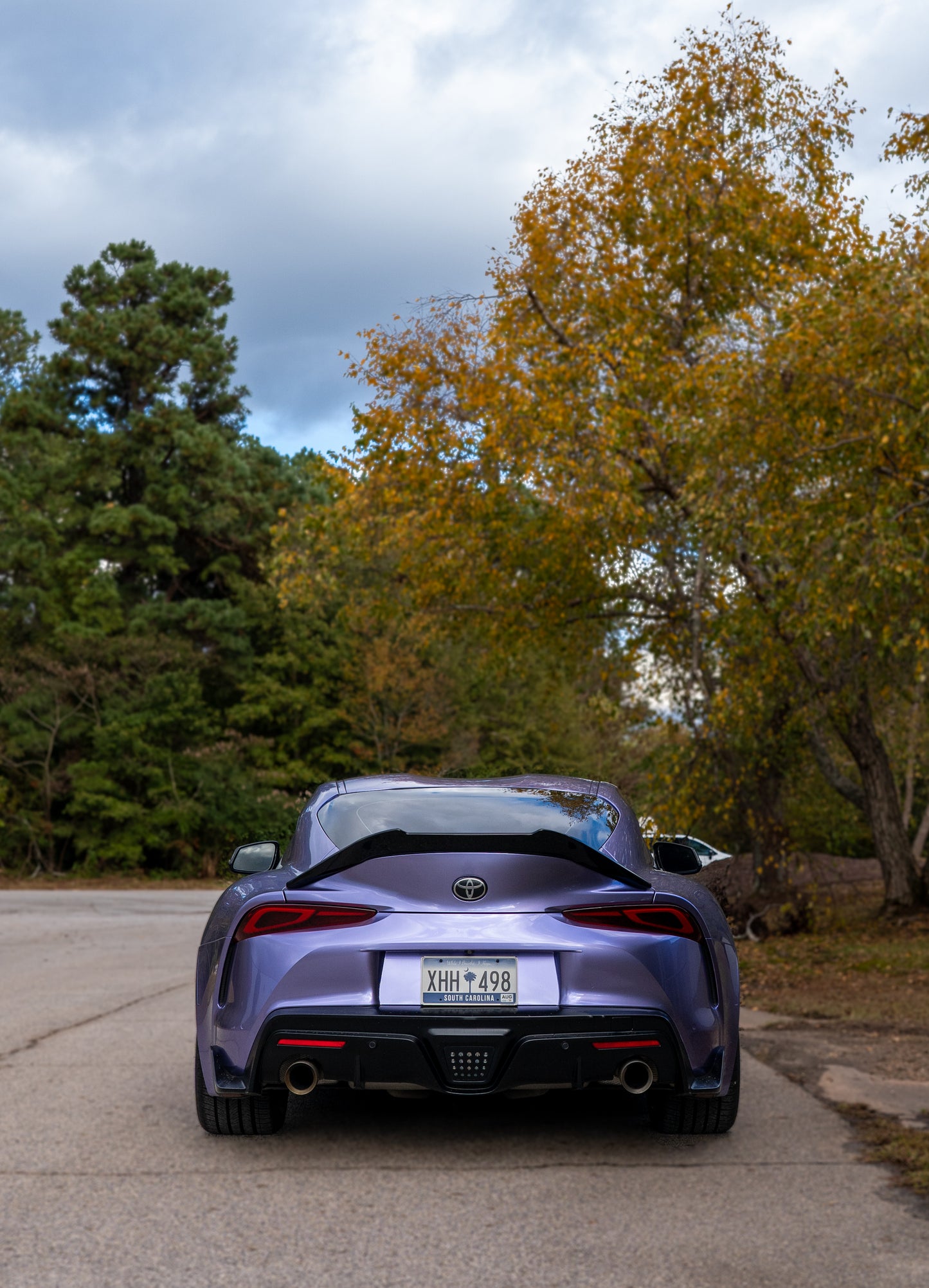 Metal Olivia Purple Vinyl Roll