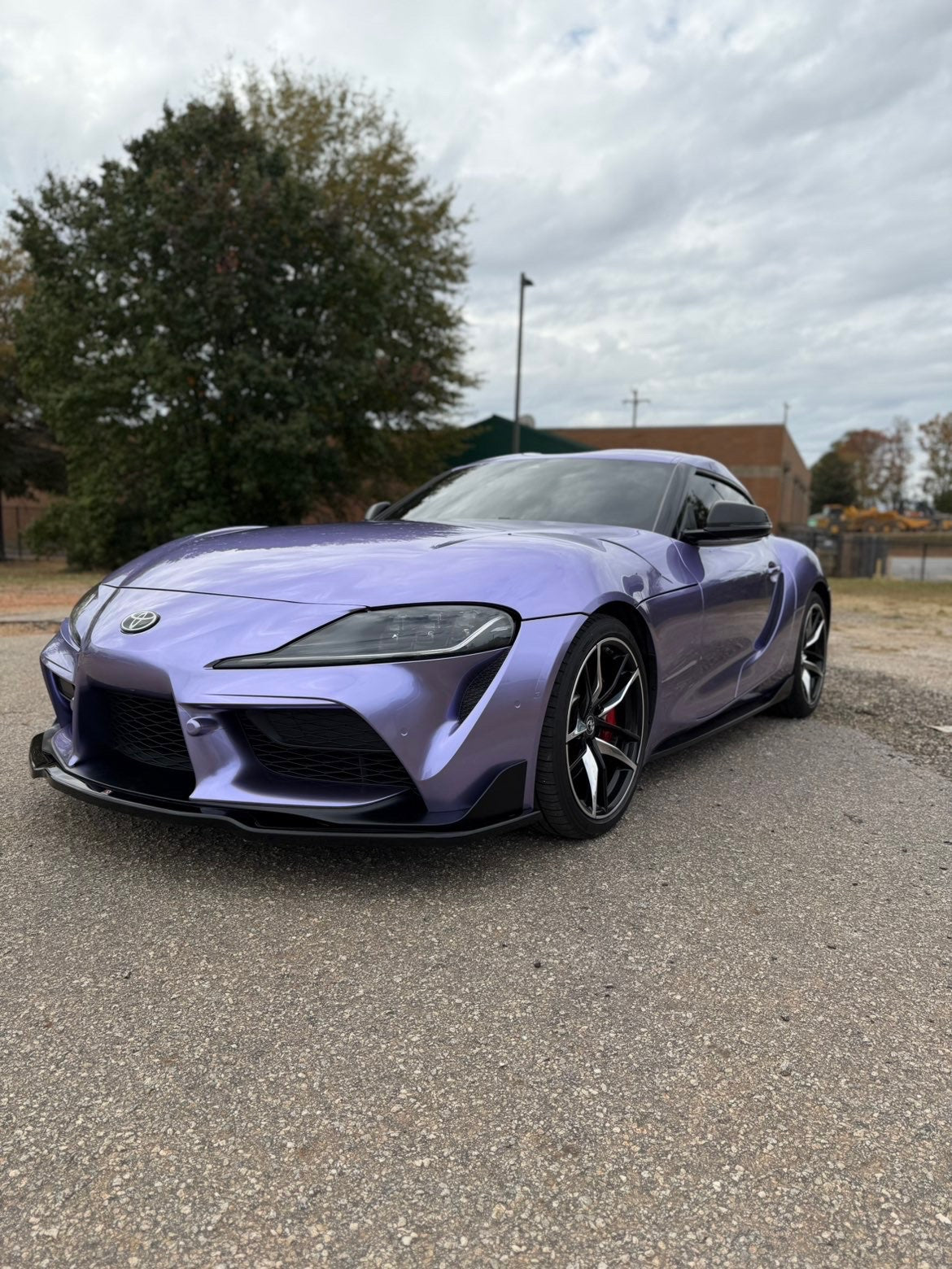 Metal Olivia Purple Vinyl Roll